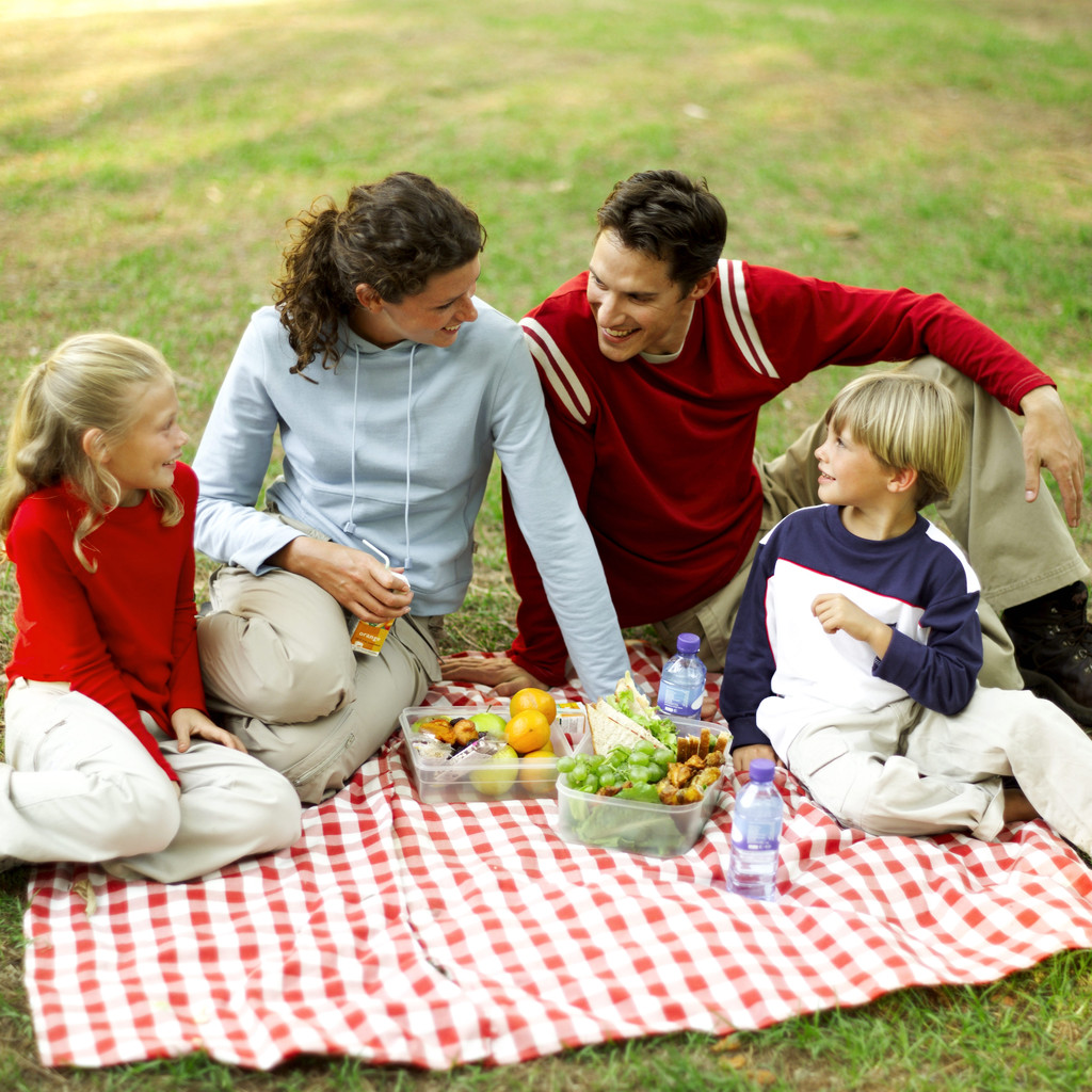 Семья на пикнике