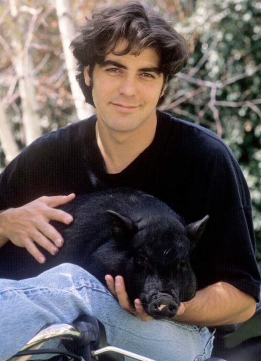 История любви Джорджа и Амаль Клуни: заядлый холостяк и ...