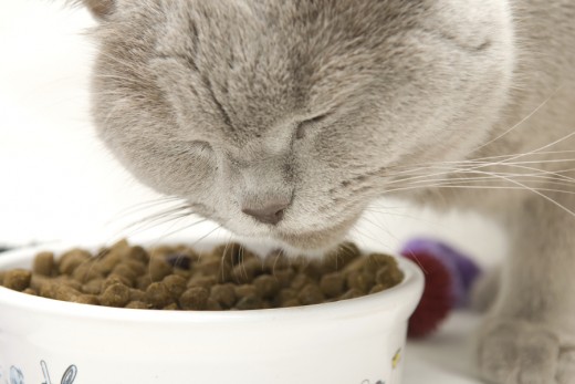 «Whiskas» - корм для здоровых кошек
