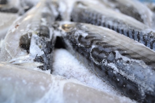 Почему мороженая рыба лучше свежей
