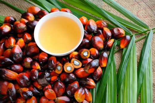 Мифы о пальмовом масле - польза и вред для здоровья 