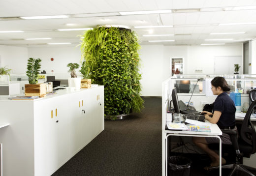 Что такое озеленение офиса?