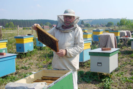 Где купить все необходимое для пчеловодства?