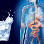 Роль воды в борьбе с кислотным обменом в организме