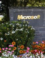 Microsoft заморозила строительство новых корпусов своей штаб-квартиры