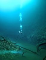 Река под водой (фото, видео)
