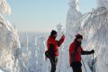 Лыжные каникулы в Финляндии – отдых, который покорит любого
