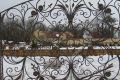 «Стальной Декор» — уникальная художественная ковка в Москве