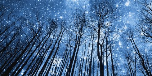 Будущей ночью на Землю прольется «звездный» дождь