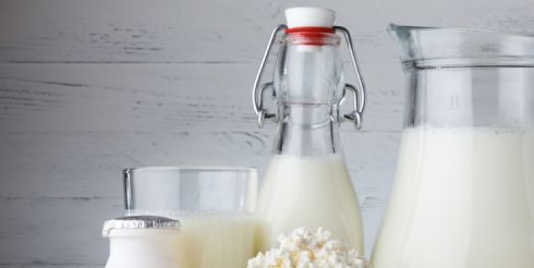 Власти поддержали программу «Три молочных продукта в день»