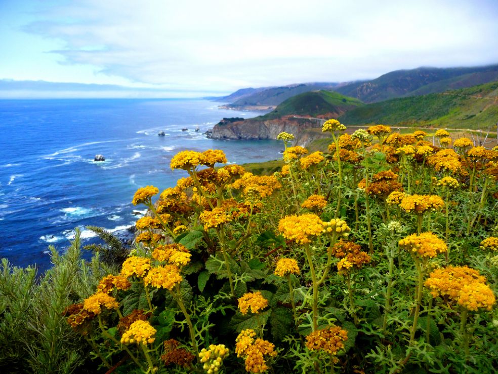 Big Sur — 90 миль красивейших пейзажей и пляжей
