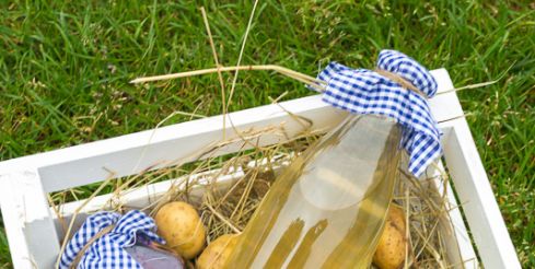 24-25 сентября Праздник Урожая на Летнем рынке «Фермерия» ВДНХ