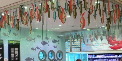Как самому обустроить рыбный магазин?