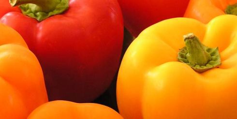 Семена перца лучших сортов