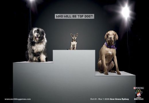 Лучшая реклама с собаками