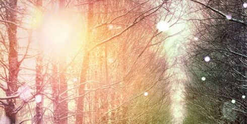 Continental предупреждает о сложной дорожной ситуации в предновогодние дни и новогодние праздники