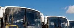 Для каких организаций актуальна покупка автобуса?