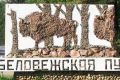 Фотовыставка к 600-летию Беловежской пущи пройдет в Госдуме России