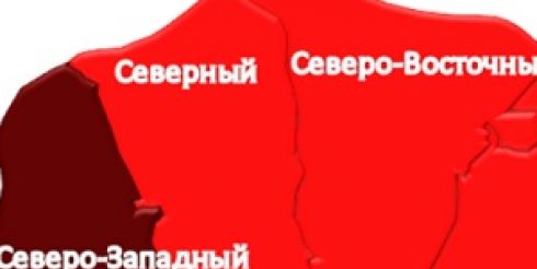 Без проблем снять жилье владельцам животных в Москве поможет сайт Onrealt.ru