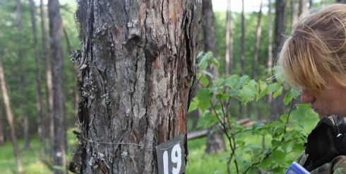 Члены оргкомитета Экодиктанта отметили, как много делают работники заповедного дела России