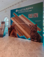 Kastamonu подвела итоги участия в Московской неделе интерьера и дизайна 2025