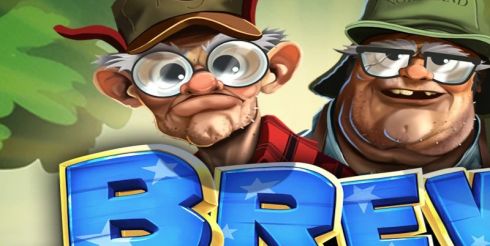 Почему Brew Brothers стал культовым: разбираем слот, который покорил хайроллеров