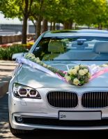 Как подобрать оптимальный транспорт для свадебного шествия: от традиционных моделей до элитных марок