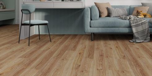 Мурчание на ламинате: как выбрать напольное покрытие так, чтобы и кот был доволен