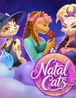 Не просто лапки: почему Natal Cats от Riddec Games заставляет мурчать от азарта