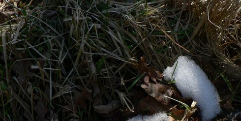 19 марта: это интересно знать