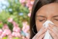 Всё, что вы не знали об аллергии на пыльцу растений