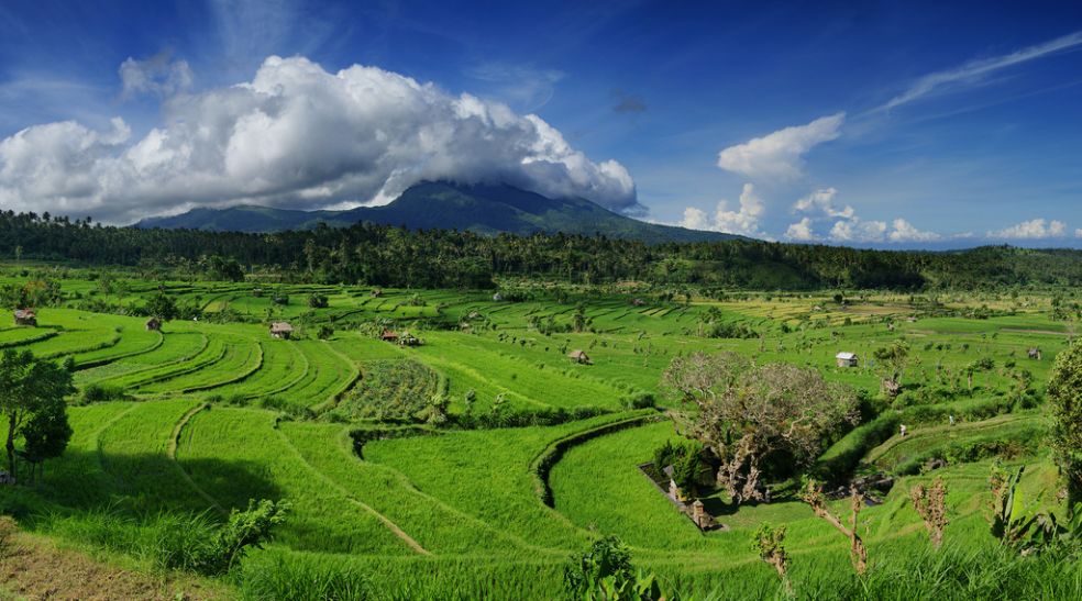 Бали: «медовый» остров и царство обезьян