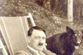 Наука доказала: у Гитлера были говорящие собаки