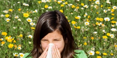 8 мифов об аллергии