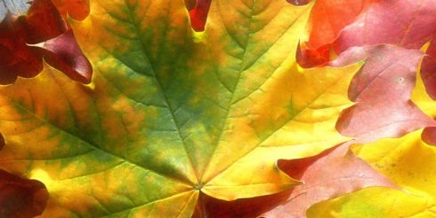 24 октября: это интересно знать