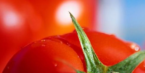 О пользе ягод: томаты снижают риск инсульта