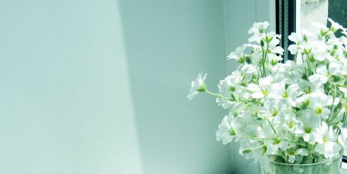 Какие профили для металлопластиковых окон выбрать?