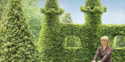 Как вырастить красивый сад?