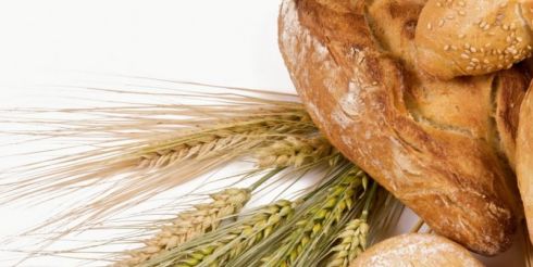 Как появился хлеб