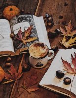 Сезонные подборки: какие книги читать осенью, зимой, весной и летом